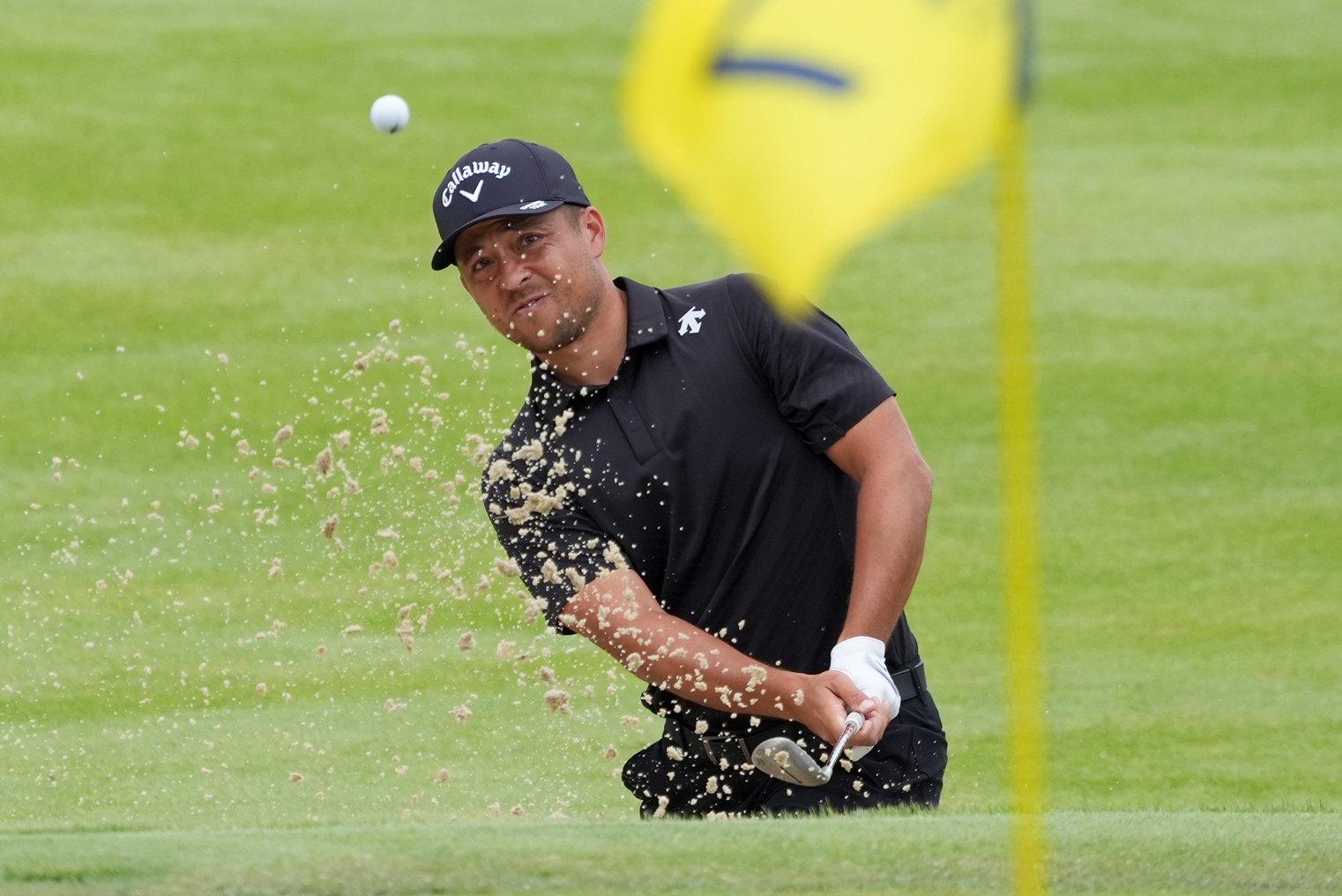 2025 Pga Championship Odds 